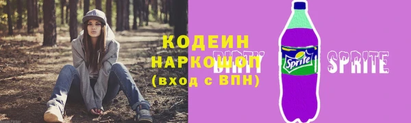 дживик Богородск
