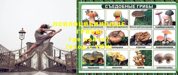 дживик Богородск